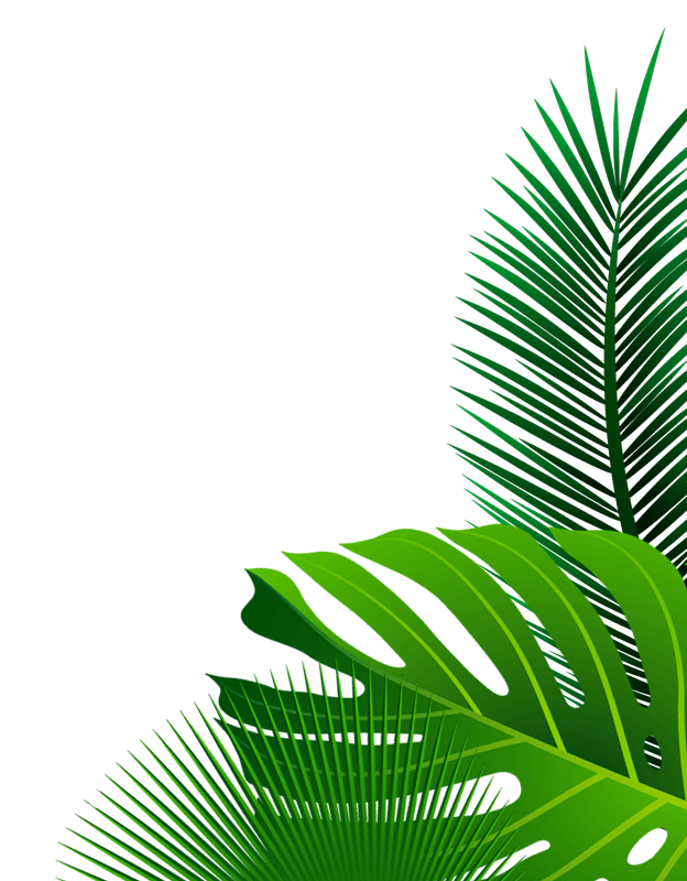 Pupuk Borate dan NPK Cair